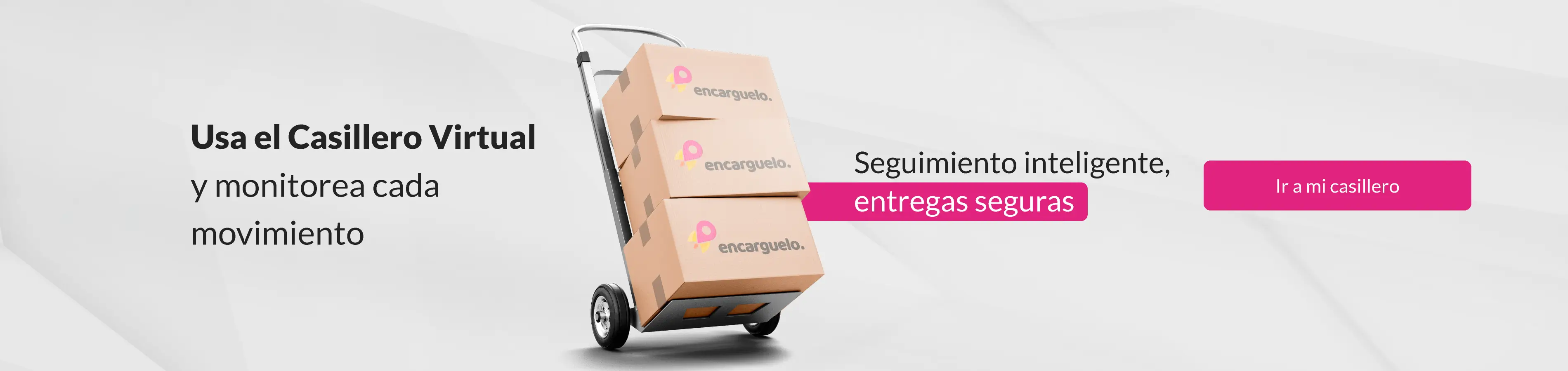 Casillero Virtual